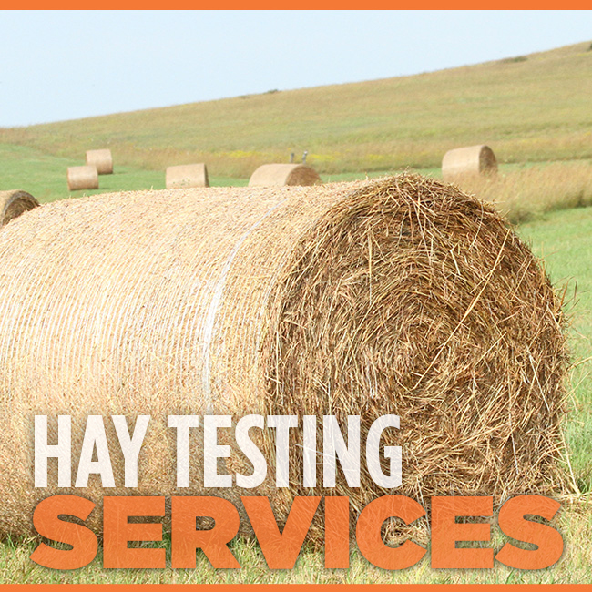 Hay Testing