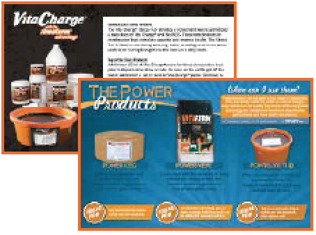 Direct Mail Marketing