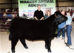 Lehman steer cured by Sure Champ!