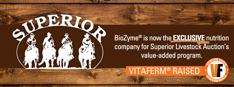 SuperiorAnnoucement_page