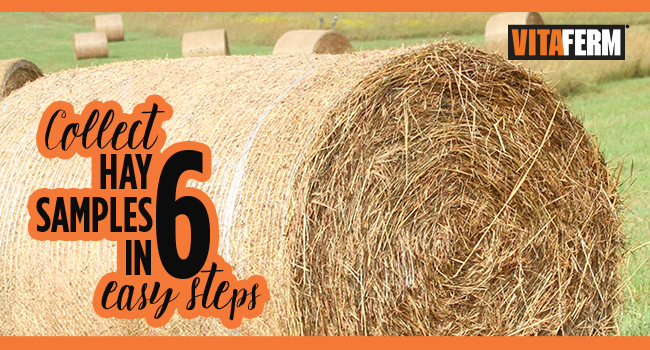 6 Simple Sets to Test Your Hay