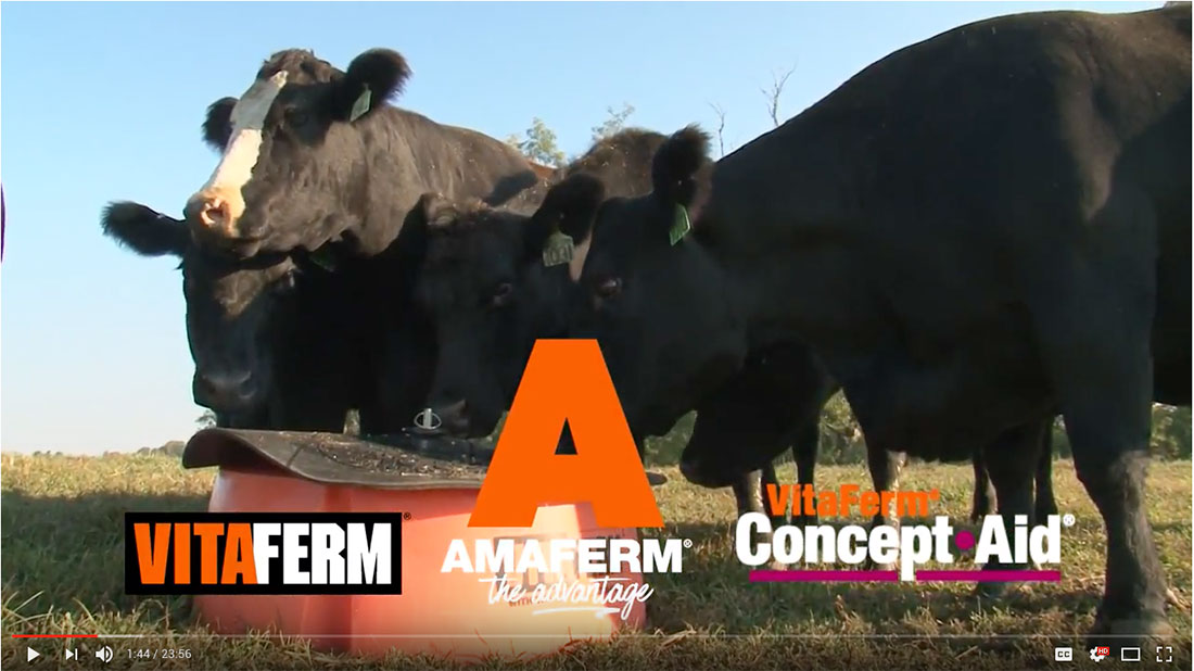 VitaFerm American Rancher