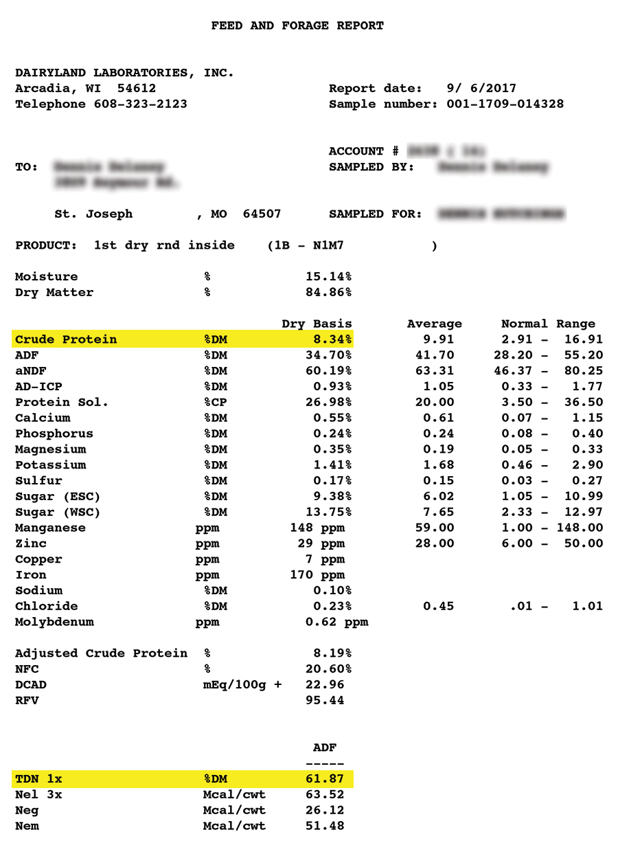 Hay Protein Chart