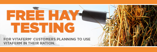 Free Hay Testing