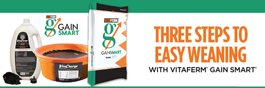 Gain Smart Weaning
