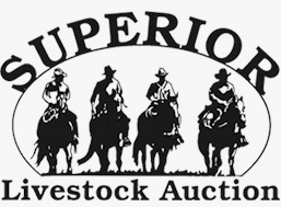 Superior Livestock