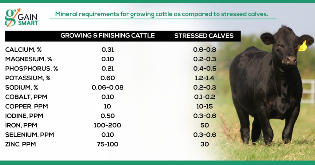 Minerals for the Stocker Operation VitaFerm