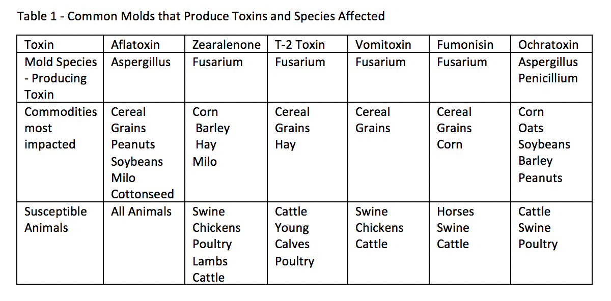 What You Need To Know About A Mycotoxin Risk In Your Feed - VitaFerm