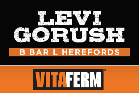 LeviGorush