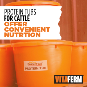 protein tubs