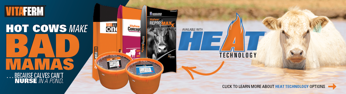 How cows make bad mamas.. because calves can't nurse in a pond